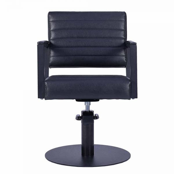 Professional Styling Chair Model